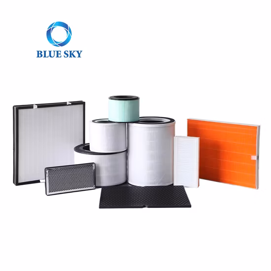 Filtro dell'aria di ricambio H13 Filtro HEPA vero S Filtro a carbone attivo per parti del purificatore d'aria Winix C545 1712-0096-00